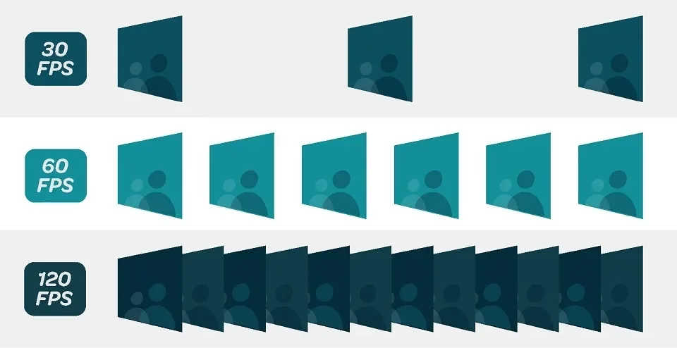  Các loại frame live phổ biến